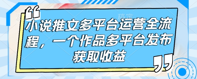 小说推文多平台运营全流程，一个作品多平台发布获取收益-蚂蚁汇资源分享项目网