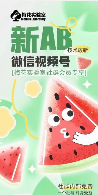 梅花实验室2024年AB技术视频号AB合成破解版-蚂蚁汇资源分享项目网