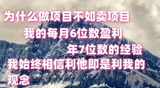 做项目不如卖项目，每月6位数盈利，年7位数经验-蚂蚁汇资源分享项目网