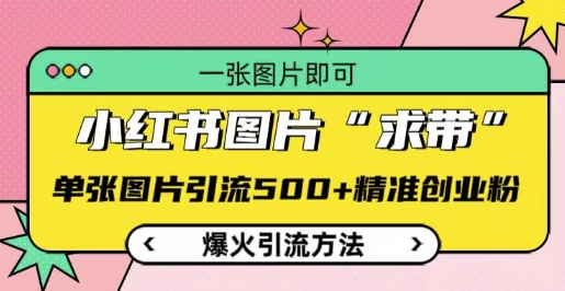 小红书图片‘求带’爆火引流法，单张图片引流500+精准创业粉【揭秘】-蚂蚁汇资源分享项目网