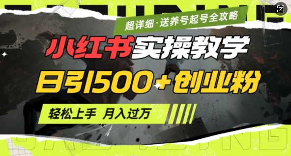 2月小红书最新日引500+创业粉实操教学【超详细】小白轻松上手，月入1W+，附小红书养号起号SOP-蚂蚁汇资源分享项目网