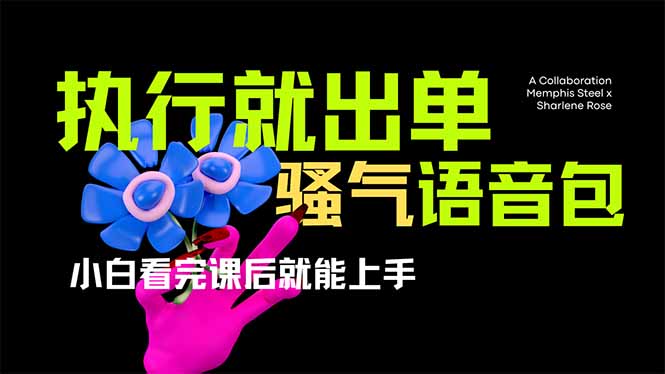 爆火全网的开车导航骚气语音包,只要执行就出单，小白看完课程就能实操…-蚂蚁汇资源分享项目网