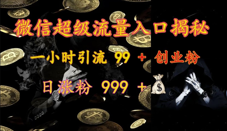 微信超级流量入口揭秘：一小时引流 99 + 创业粉，日涨粉 999 +-蚂蚁汇资源分享项目网