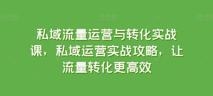 私域流量运营与转化实战课，私域运营实战攻略，让流量转化更高效-蚂蚁汇资源分享项目网