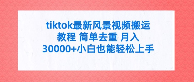 tiktok最新风景视频搬运教程 简单去重 月入3W+小白也能轻松上手【揭秘】-蚂蚁汇资源分享项目网