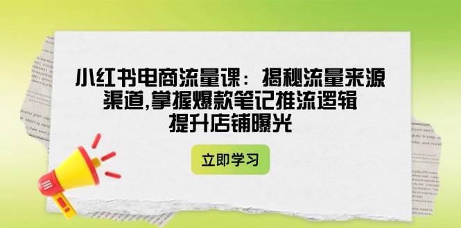 小红书电商流量课：揭秘流量来源渠道,掌握爆款笔记推流逻辑,提升店铺曝光-蚂蚁汇资源分享项目网