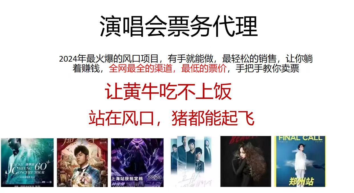 演唱会2024票务代理，全网最低的票价，手把手教你卖票，日入2000+-蚂蚁汇资源分享项目网