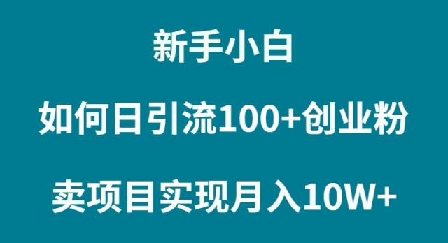(9556期)新手小白如何通过卖项目实现月入10W+-蚂蚁汇资源分享项目网