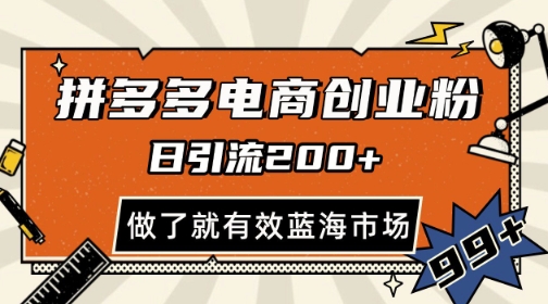 拼多多引流电商创业粉，日引200+，可矩阵放大，做了就有效【揭秘】-蚂蚁汇资源分享项目网