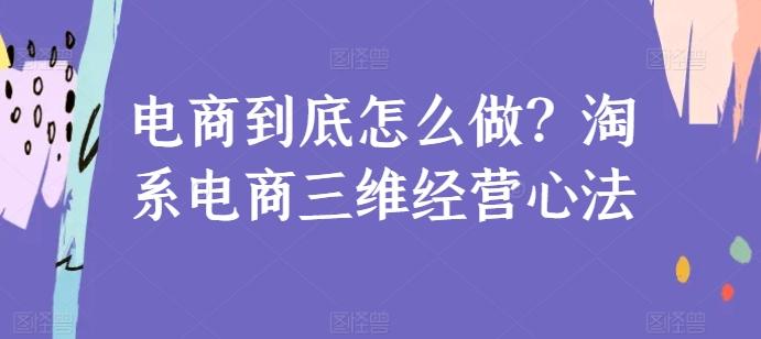 电商到底怎么做？淘系电商三维经营心法-蚂蚁汇资源分享项目网
