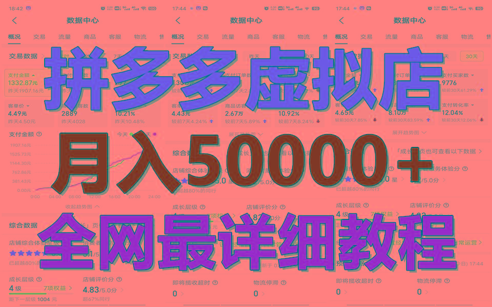 拼多多虚拟电商训练营月入50000+你也行，暴利稳定长久，副业首选-蚂蚁汇资源分享项目网