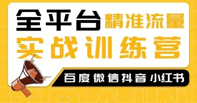 全平台精准流量实战训练营，百度微信抖音小红书SEO引流教程-蚂蚁汇资源分享项目网