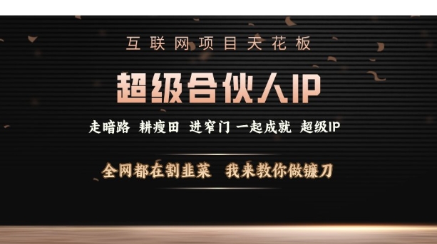 互联网项目天花板，超级合伙人IP，全网都在割韭菜，我来教你做镰刀【仅揭秘】-蚂蚁汇资源分享项目网