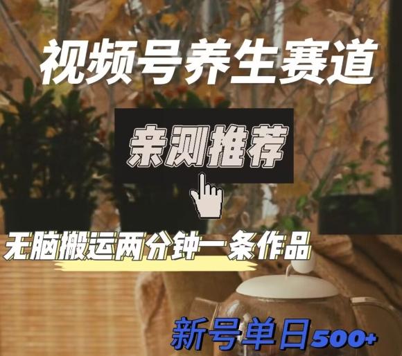 视频号养生赛道暴力掘金，无脑搬运，两分钟一条作品-新日单入500+-蚂蚁汇资源分享项目网