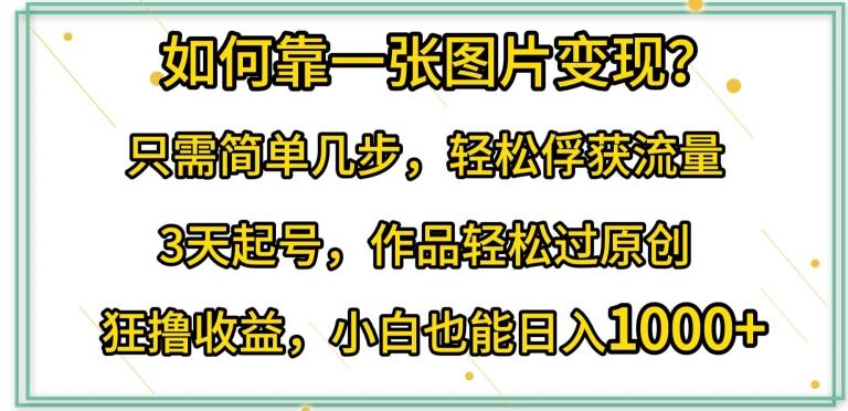 如何靠一张图片变现?只需简单几步，轻松俘获流量，3天起号，作品轻松过原创【揭秘】-蚂蚁汇资源分享项目网
