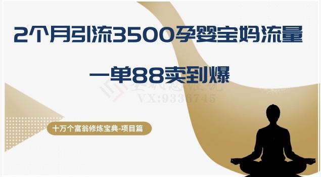 十万个富翁修炼宝典之13.2个月引流3500孕婴宝妈流量，一单88卖到爆-蚂蚁汇资源分享项目网