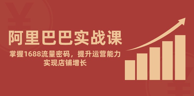 阿里巴巴实战课：掌握1688流量密码，提升运营能力，实现店铺增长-蚂蚁汇资源分享项目网