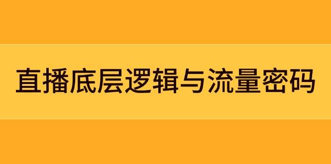 直播底层逻辑与流量密码：定位模型+案例拆解，急速流承接与数据优化全攻略-蚂蚁汇资源分享项目网