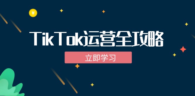 TikTok实战运营全攻略：从下载软件到变现，抖音海外版实操教程-蚂蚁汇资源分享项目网