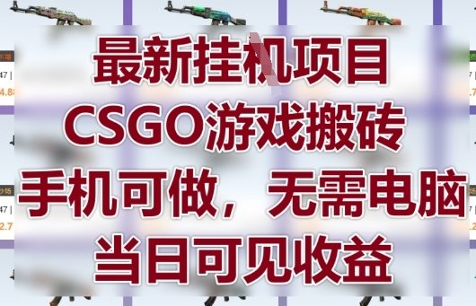 最新挂G项目，CSGO游戏搬砖，手机可做，无需电脑，当日见收益【揭秘】-蚂蚁汇资源分享项目网