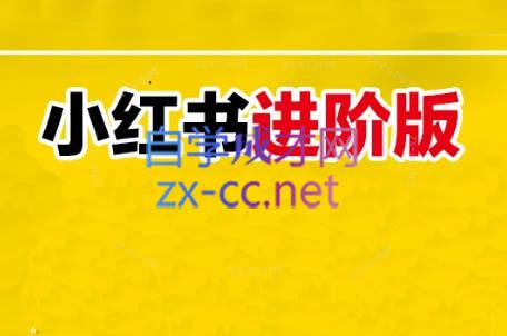 日日老师·小红书电商进阶版-蚂蚁汇资源分享项目网