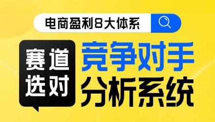 电商盈利8大体系·赛道选对，​竞争对手分析系统线上课-蚂蚁汇资源分享项目网
