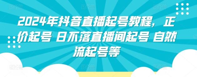 2024年抖音直播起号教程，正价起号 日不落直播间起号 自然流起号等-蚂蚁汇资源分享项目网