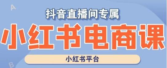 小红书电商高级运营课程，实操教学+案例分析-蚂蚁汇资源分享项目网
