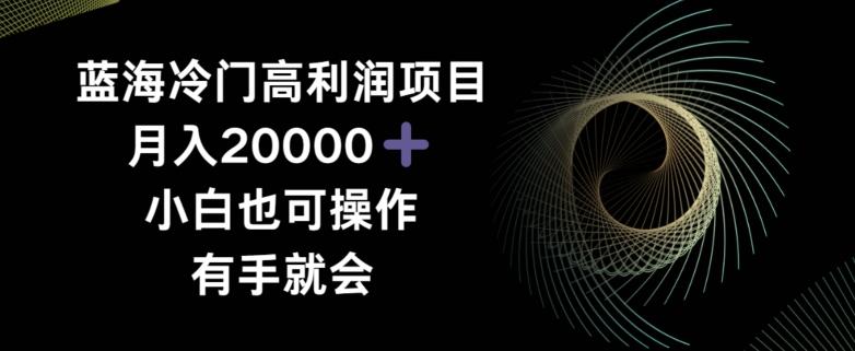 蓝海冷门高利润项目月入2000，小白也可操作有手就会-蚂蚁汇资源分享项目网