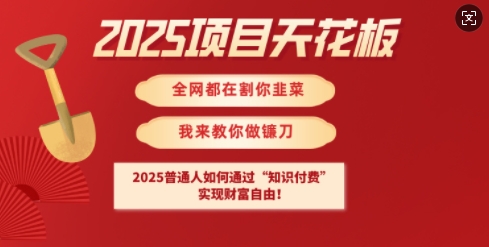 2025项目天花板普通人如何通过知识付费，实现财F自由【揭秘】-蚂蚁汇资源分享项目网