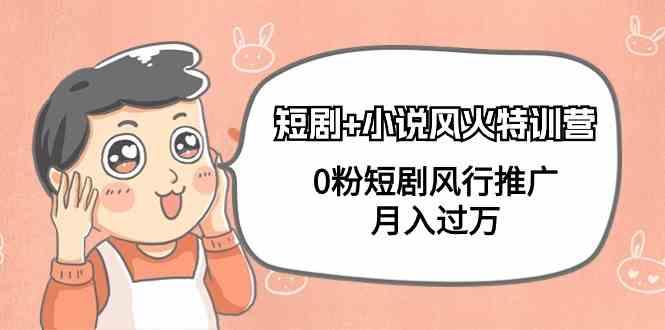 小说+短剧风火特训营，0粉短剧小说风行推广，实现月入过万-蚂蚁汇资源分享项目网